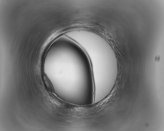X0000096480150200801241155