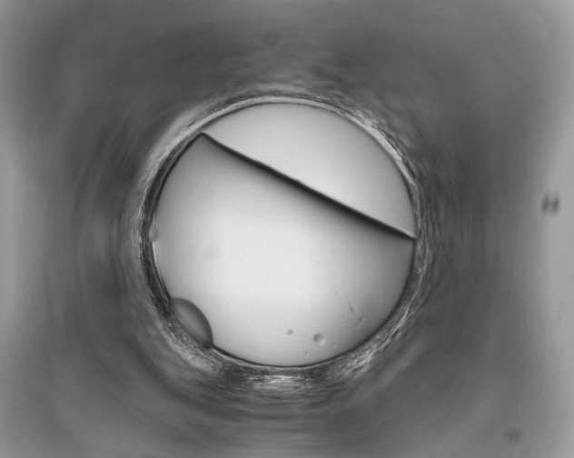 X0000096480151200801241155