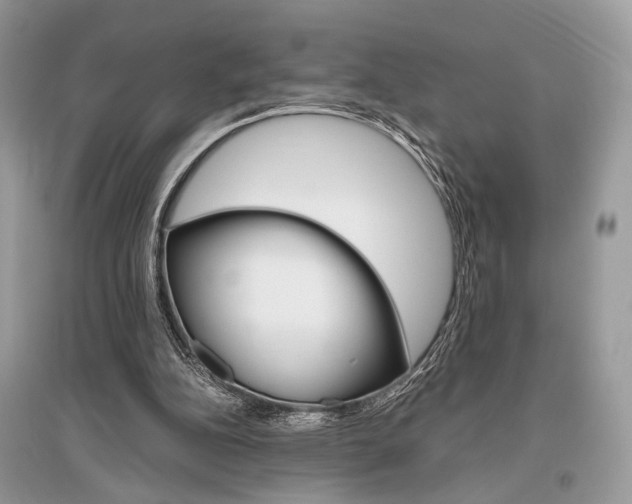 X0000096480152200801241155