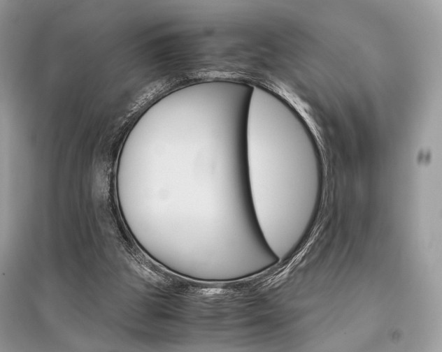X0000096480153200801241155