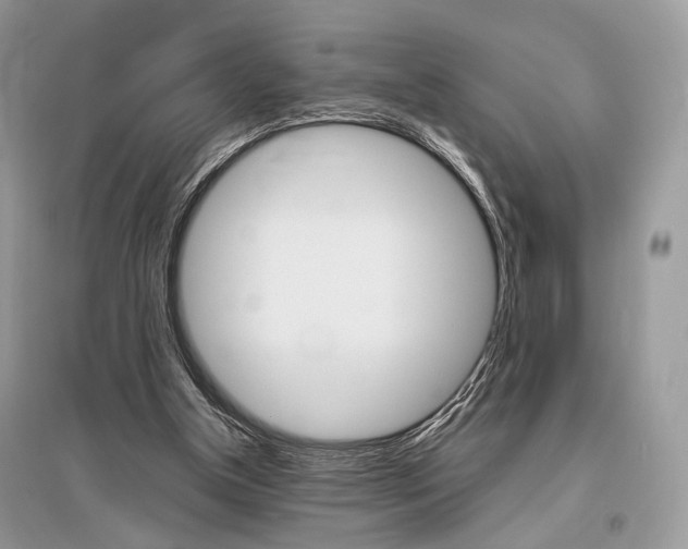 X0000096480154200801241155