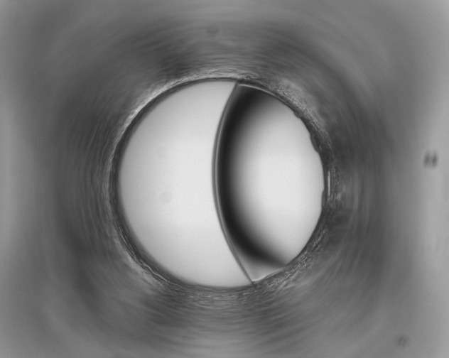 X0000096480156200801241155