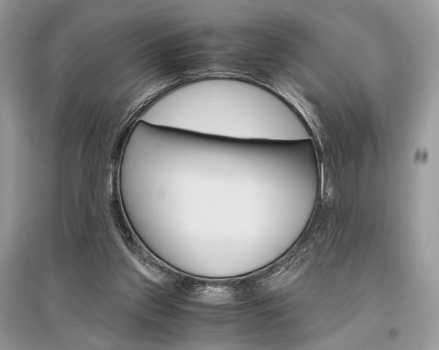 X0000096480157200801241155