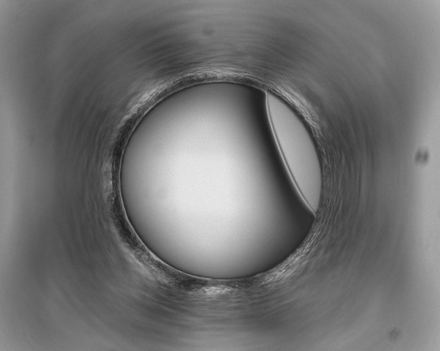 X0000096480158200801241155