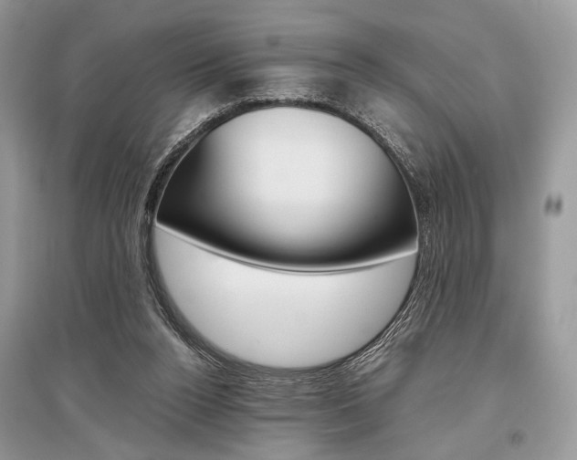 X0000096480160200801241155