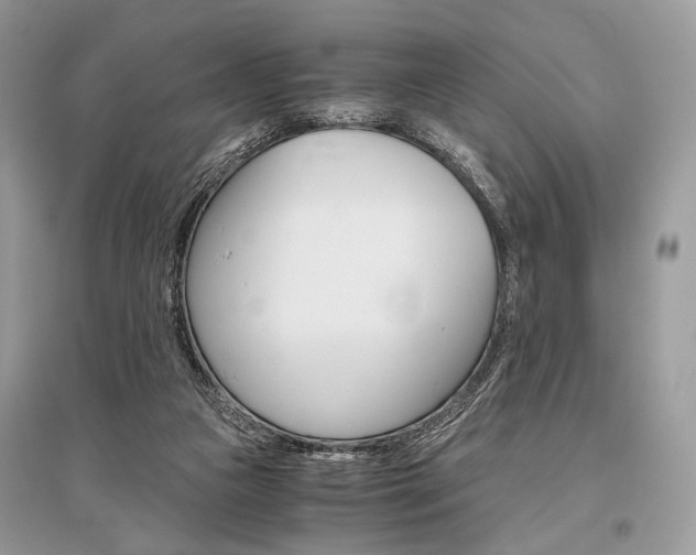 X0000096480161200801241155