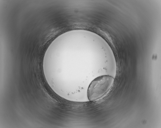 X0000096480162200801241155