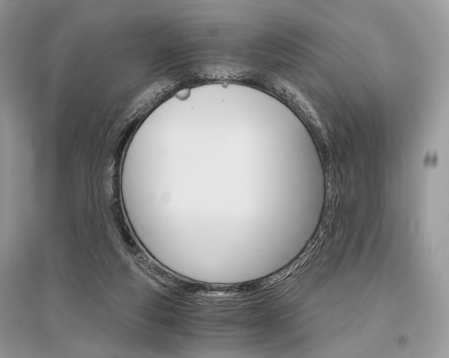 X0000096480163200801241155