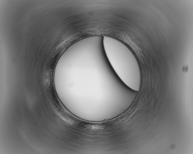 X0000096480165200801241155