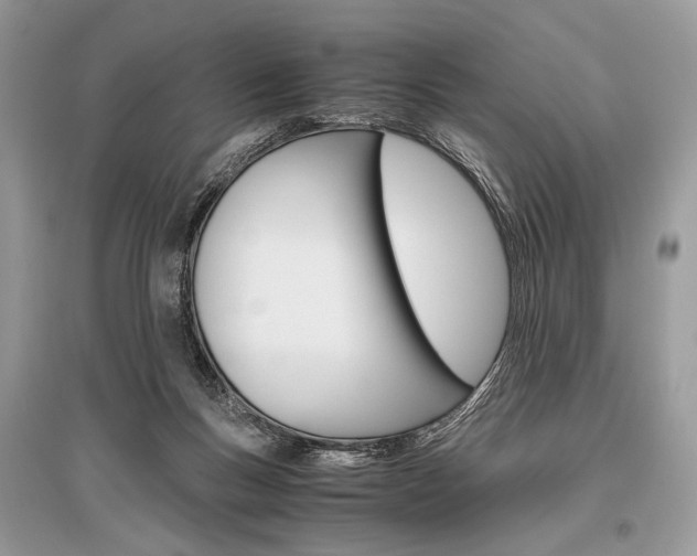 X0000096480167200801241155