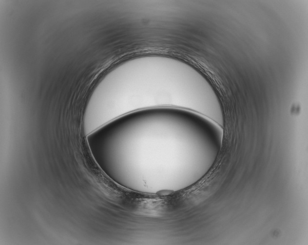X0000096480168200801241155