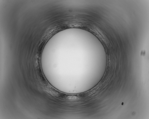 X0000096480169200801241155