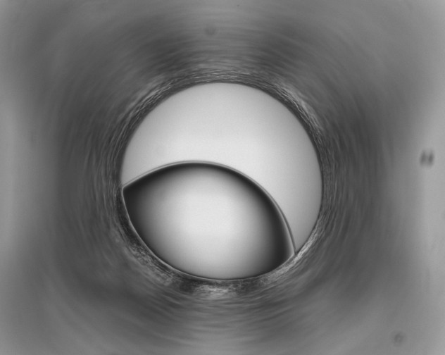 X0000096480170200801241155