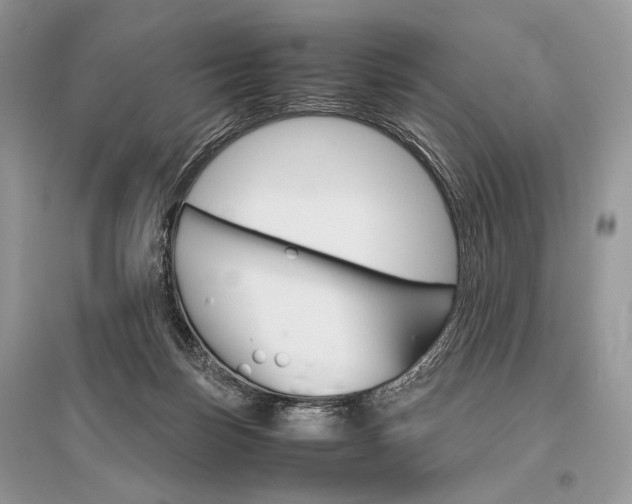 X0000096480171200801241155