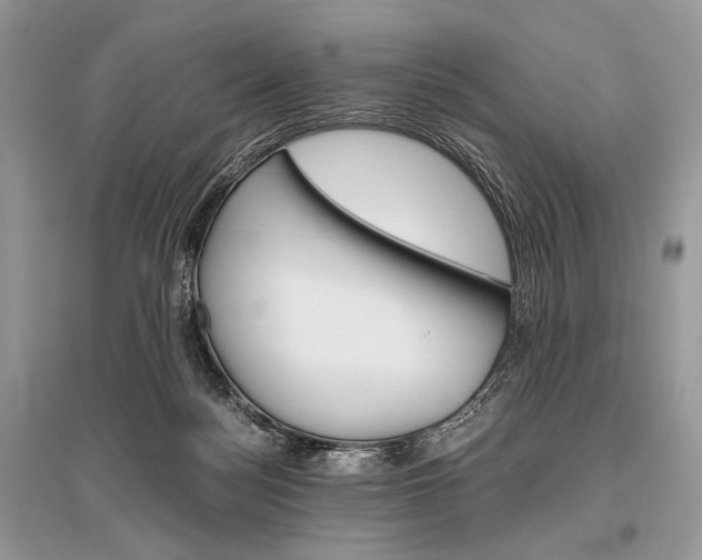 X0000096480172200801241155
