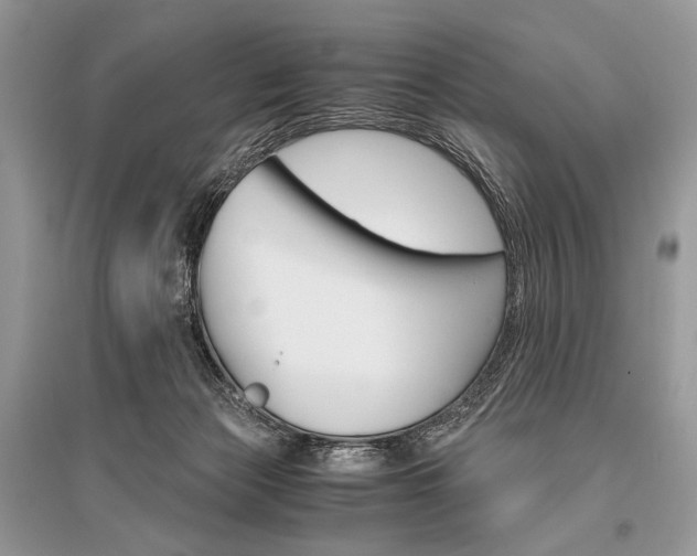 X0000096480173200801241155