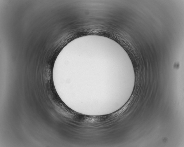 X0000096480174200801241155