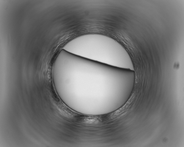 X0000096480175200801241155