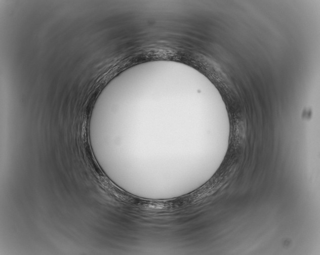 X0000096480177200801241155
