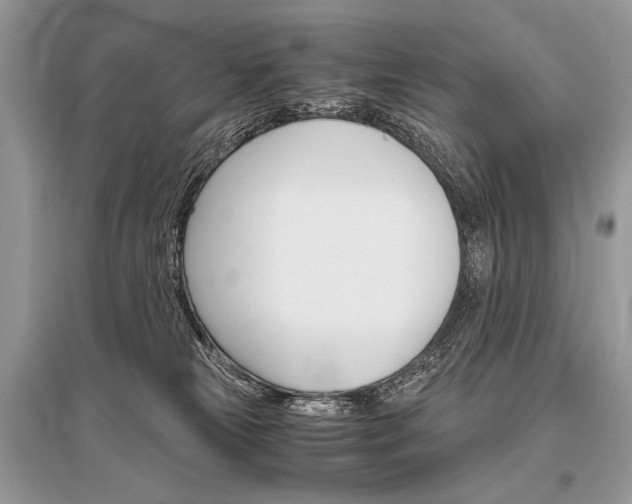 X0000096480181200801241155