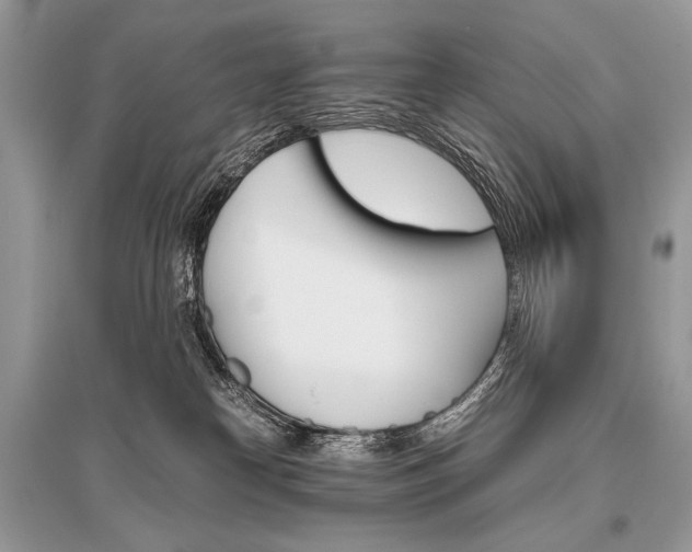 X0000096480182200801241155