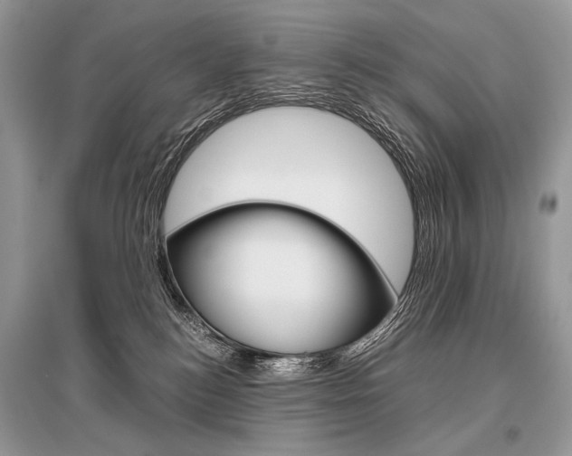 X0000096480184200801241155