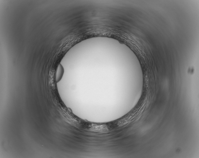 X0000096480185200801241155