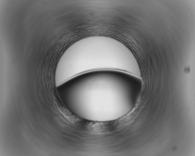 X0000096480186200801241155
