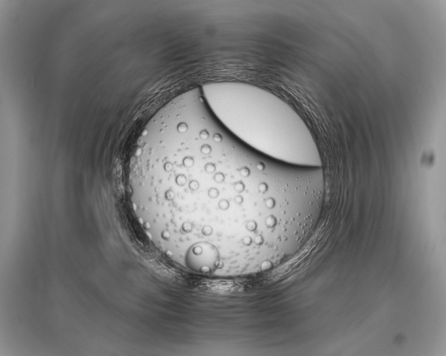 X0000096480187200801241155