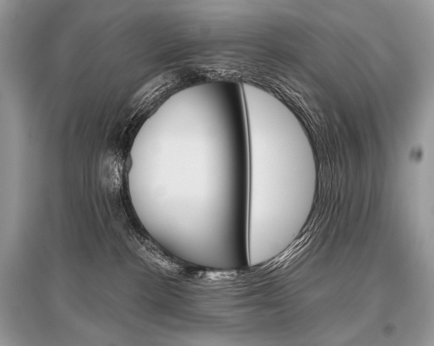X0000096480188200801241155