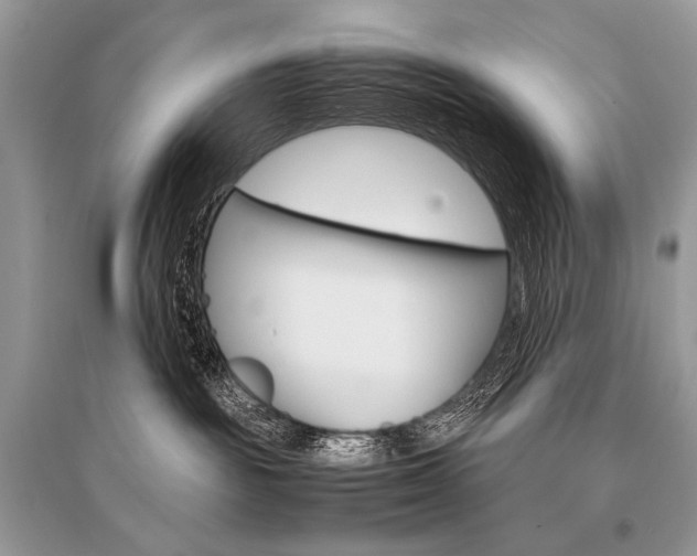 X0000096480189200801241155