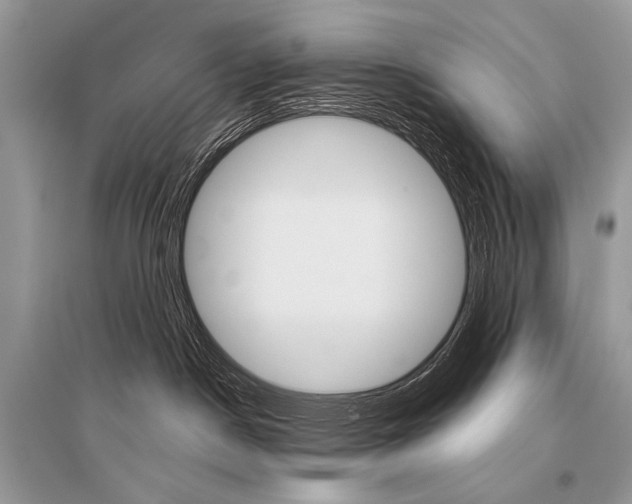 X0000096480190200801241155