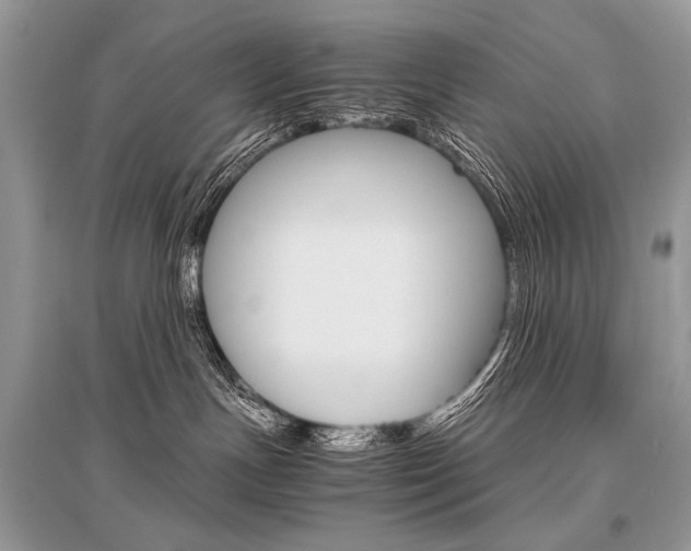 X0000096480191200801241155