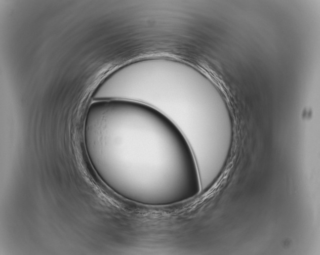 X0000096480193200801241155