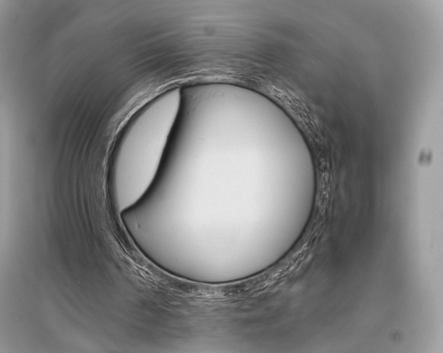 X0000096480194200801241155