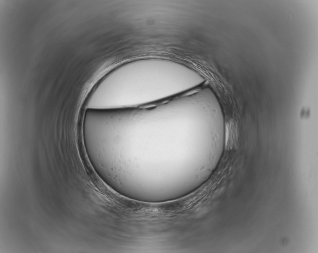 X0000096480195200801241154