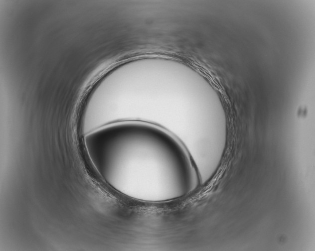 X0000096480197200801241154