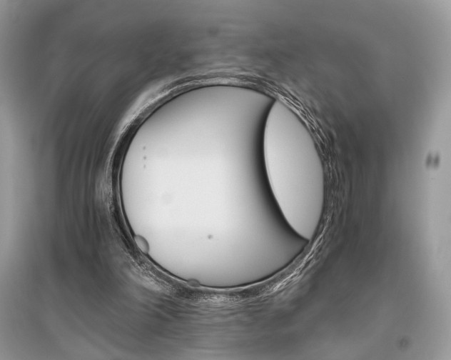 X0000096480198200801241154