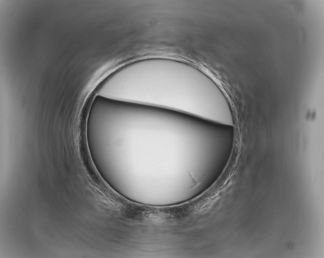 X0000096480199200801241154