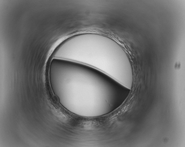 X0000096480200200801241154