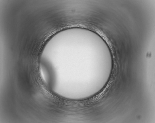 X0000096480201200801241154