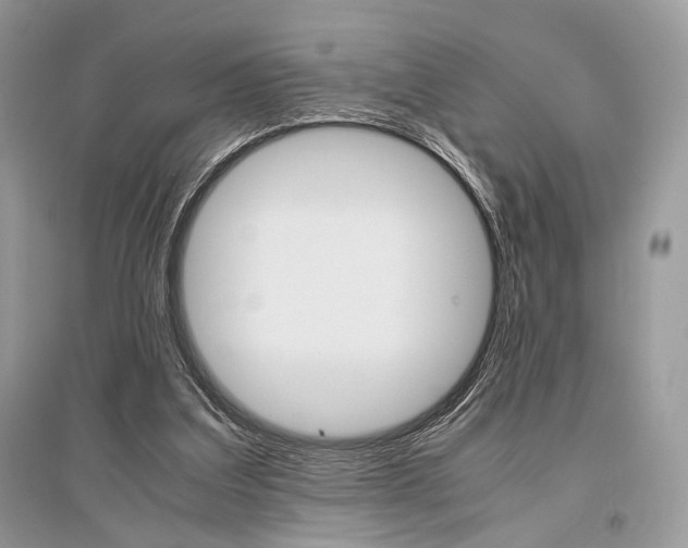 X0000096480203200801241154