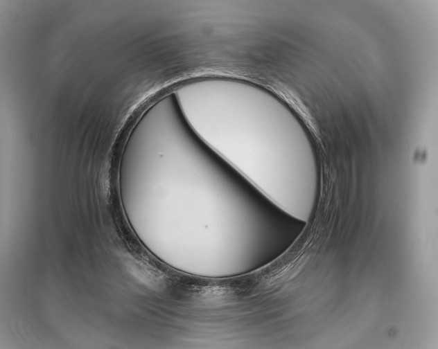 X0000096480204200801241154