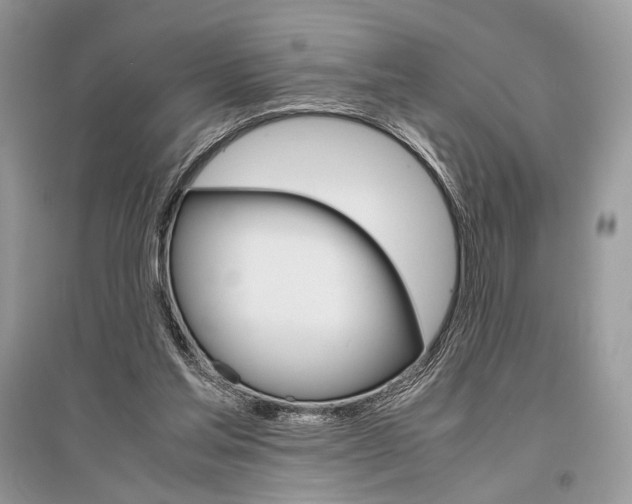 X0000096480205200801241154