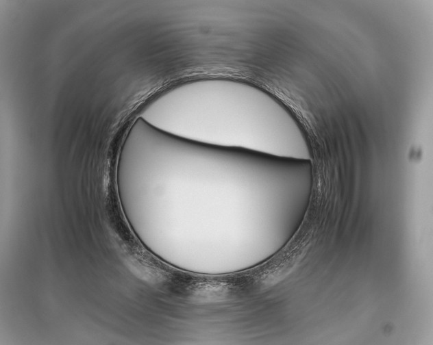 X0000096480206200801241154