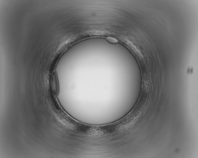 X0000096480207200801241154