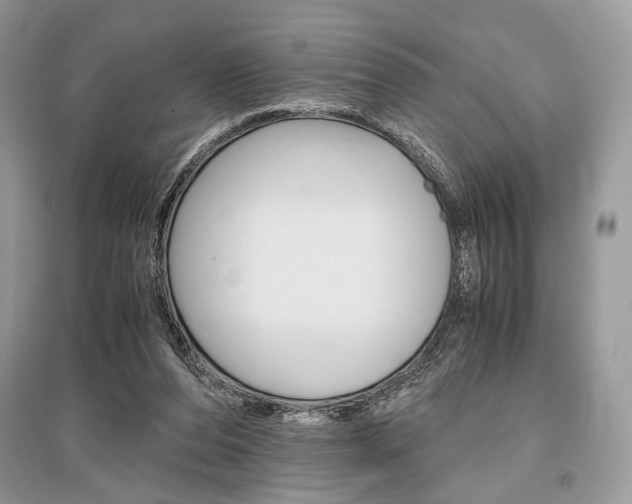 X0000096480208200801241154