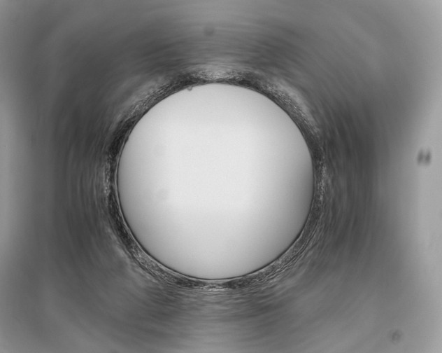 X0000096480210200801241154
