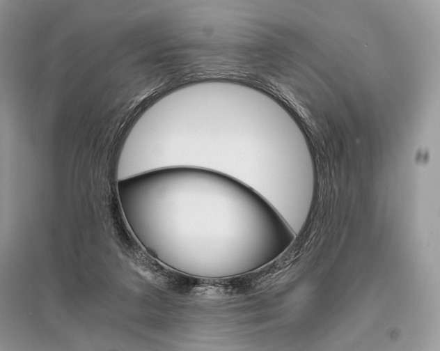 X0000096480211200801241154