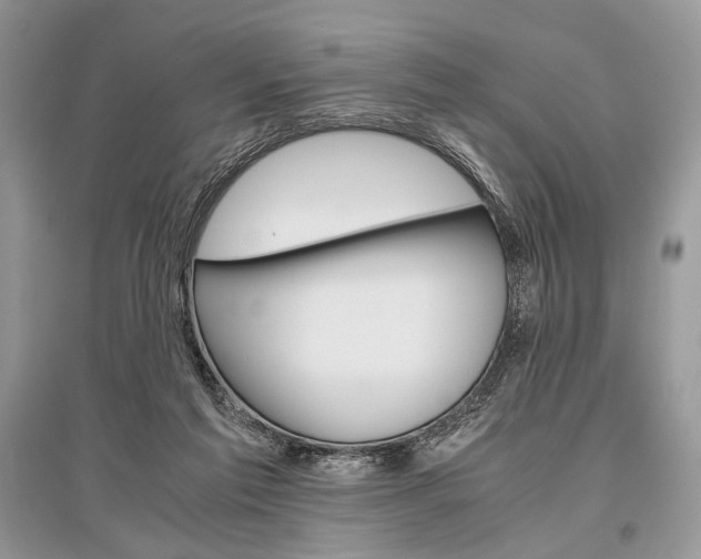 X0000096480213200801241154